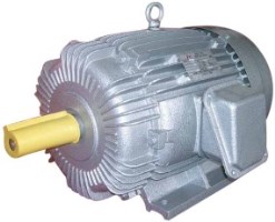 Induction Motor Induction Motor